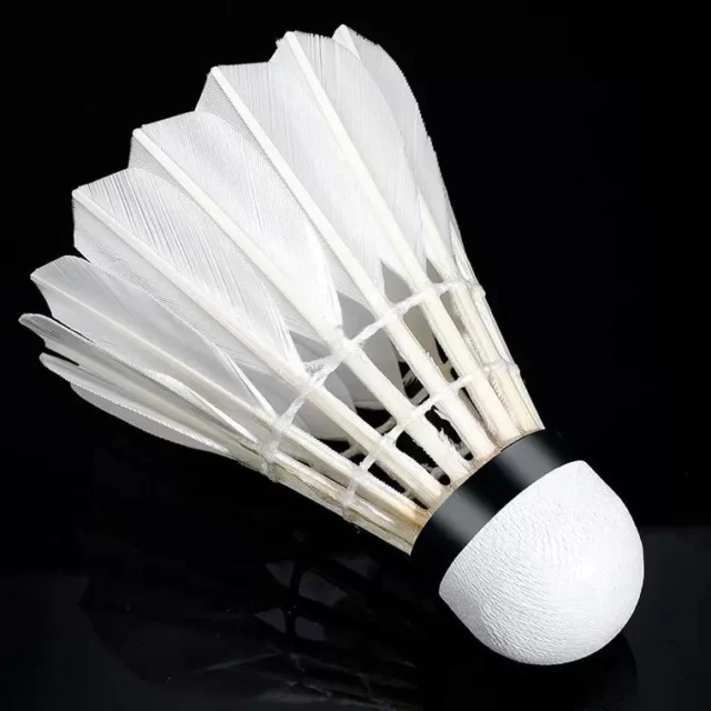赛事动态深度观察：第650组阵容全景剖析